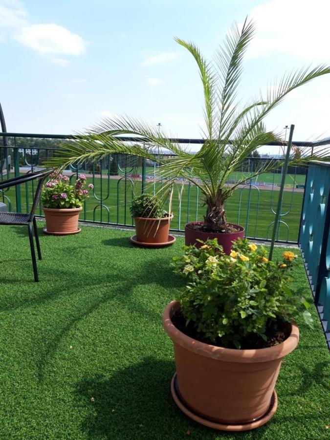 Hotel Zum Sportforum بلانكنبرغ المظهر الخارجي الصورة